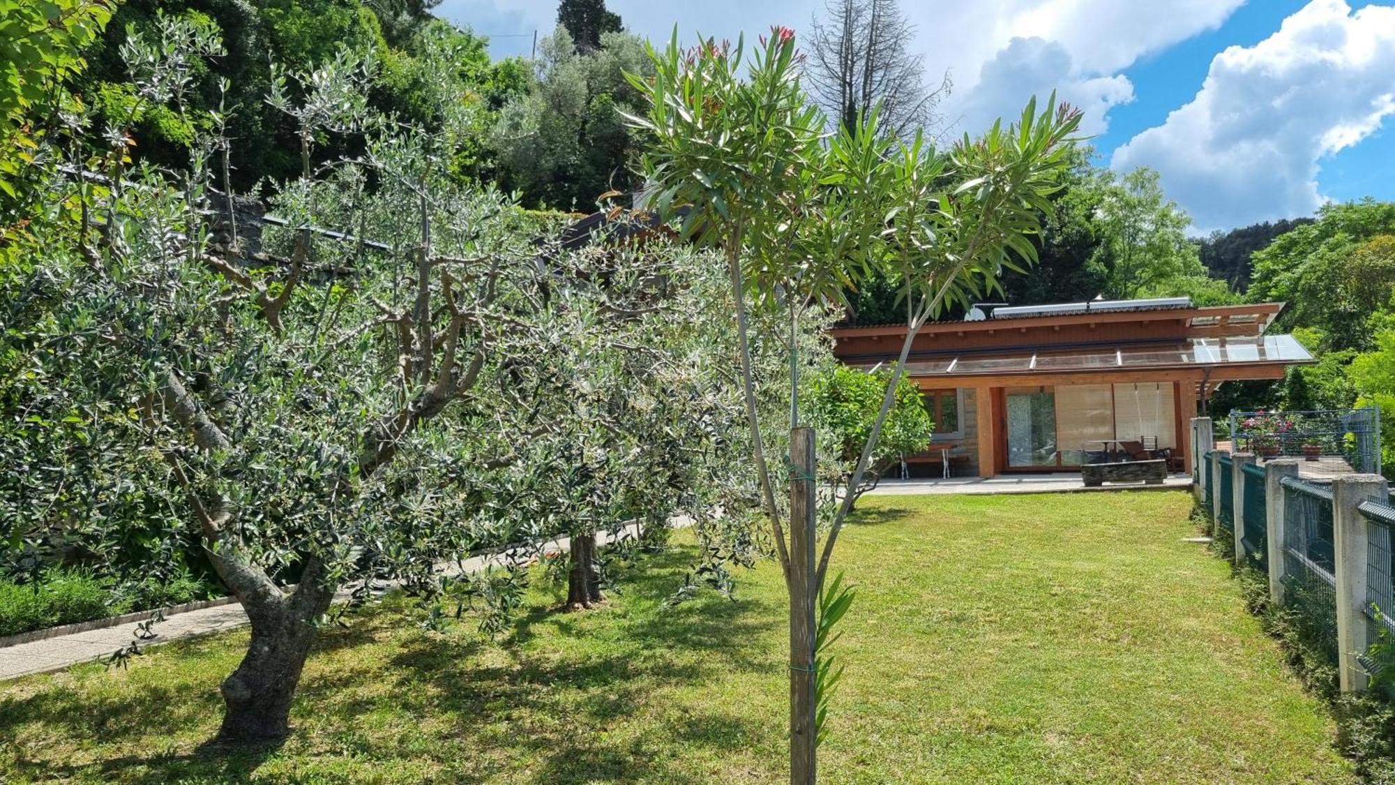 House - Private Oasis - Beachfront With A Sea View Terrace *